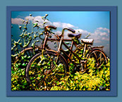 Abandoned bikes in blue framed