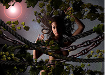 mermaid near shipwreck